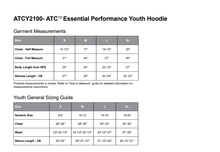 Load image into Gallery viewer, Ridley Lower School Hoodie - YOUTH