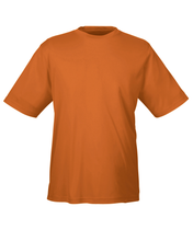 Load image into Gallery viewer, Team 365 Zone Performance T-Shirt - Men's